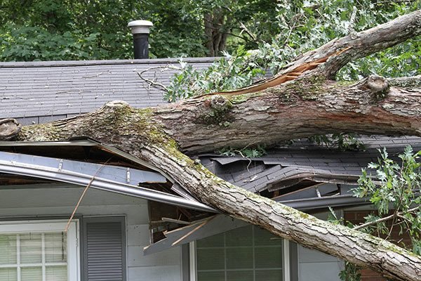 Storm-Damage-Repair-Services