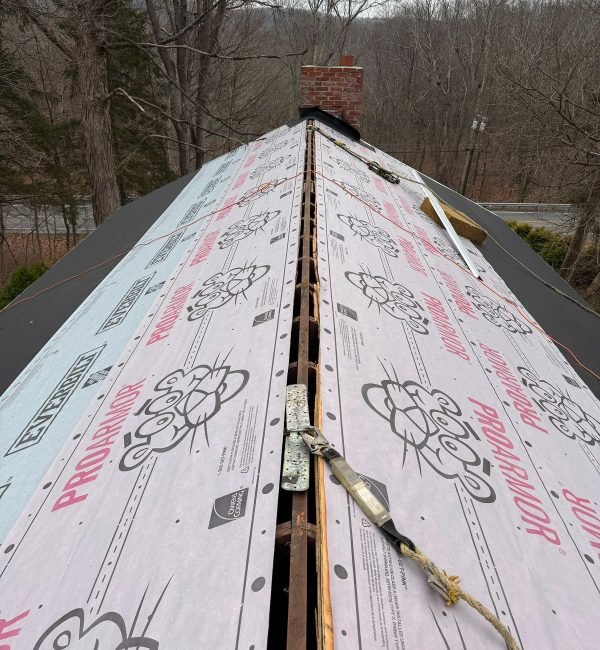 WhatsApp Image 2026-03-24 at 8.19.36 AM