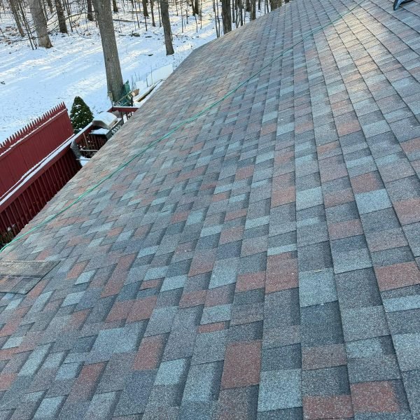 WhatsApp Image 2026-03-24 at 8.19.37 AM (1)