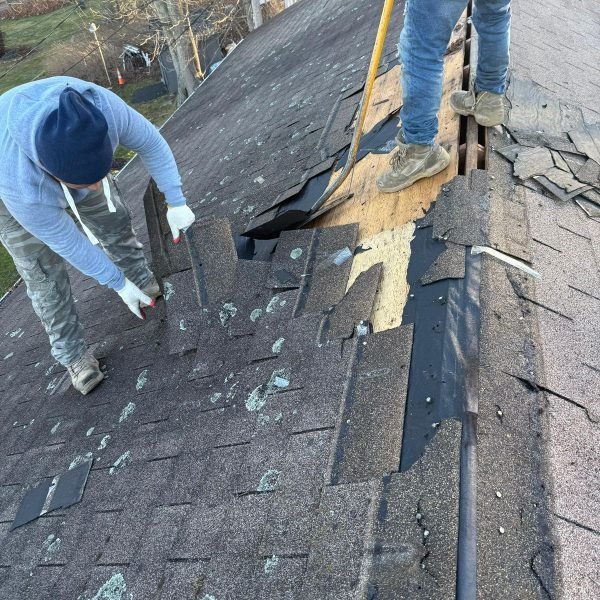 WhatsApp Image 2026-03-24 at 8.19.37 AM